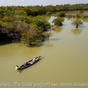 Ratargul Swamp Forest_21